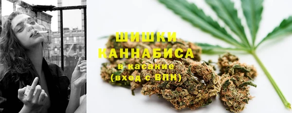 mix Новодвинск