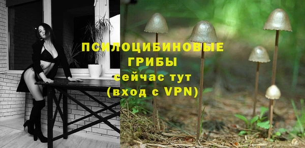 mix Новодвинск